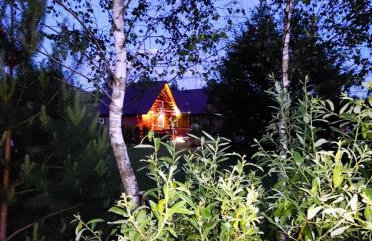 Domki w Bieszczadach - Foto 5