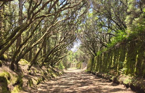 FINCA LA JORADITA - Foto 17