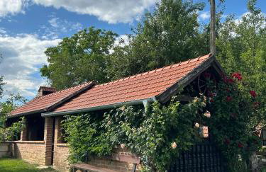 Comfortable Bungalow in Kutina with Private Garden - Foto 11