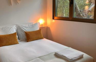 Casinhas da Póvoa- Turismo Natureza - Foto 30