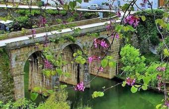 Pinhão House - Foto 51