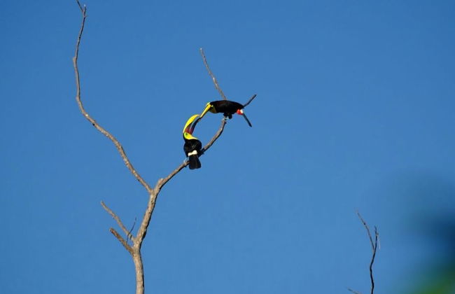 Alta Vista Villas Casas Vacacionales - Foto 45