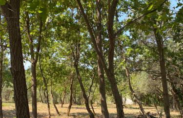 Casale Giselle - Foto 16