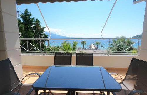 Luxury Beachfront Suite - Photo 8