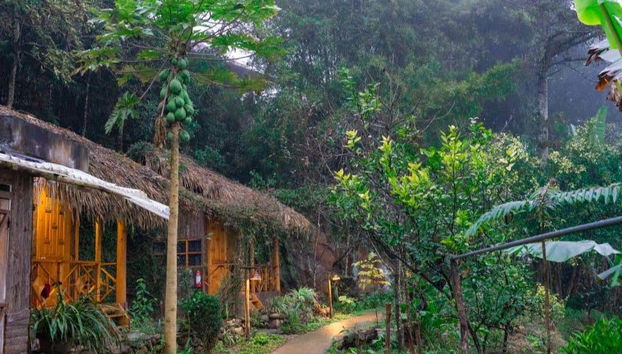 These are the Bungalows we'll sleep in