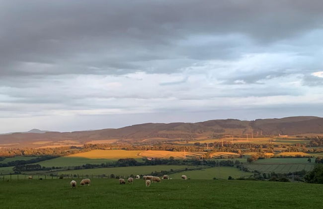 Woodhead Shepherds Hut - Sleeps 2 - Mailer Farm - Foto 10