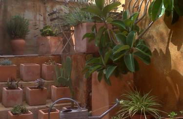 El Terral - Photo 30