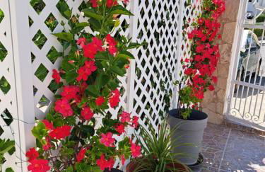 Villa Mariamar - Foto 40