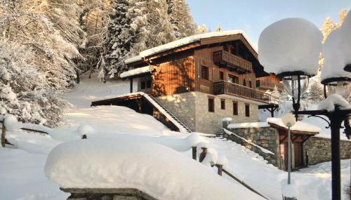 Fabulous chalet La Plagne - ski in-ski out - Sauna with Mont Blanc view - Foto 2, Garden, Garden view