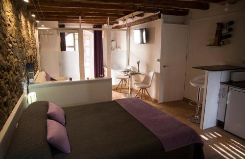 Espígol Priorat - apartamento estudio - Foto 15