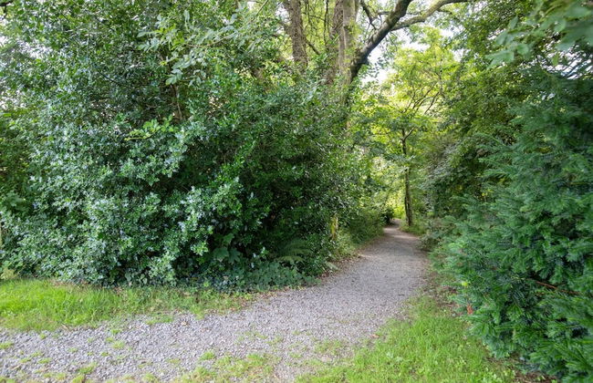 Ballyroan - Peaceful Dog Friendly Cottage - Foto 19