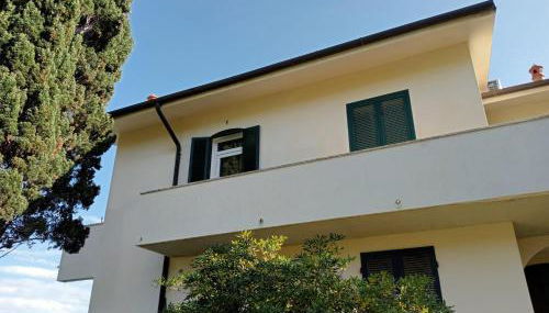 Riccio di Mare - Foto 3