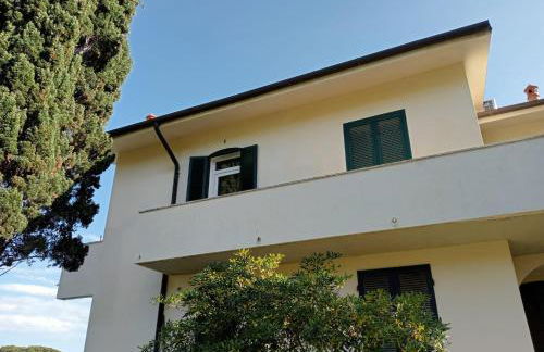 Riccio di Mare - Foto 3