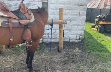 Yahweh Horse Retreat - Photo 21