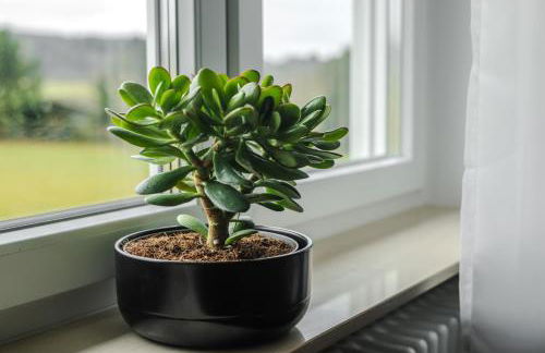 Talblick - Apartment Hortensie - Foto 28