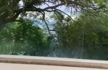 Vilella Vista Bela - wake up and sleep watching the sea - Foto 61