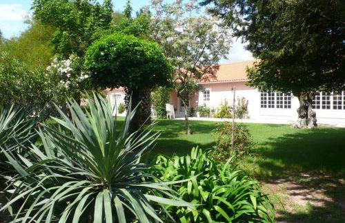 Casa Da Avo Genoveva - Foto 19