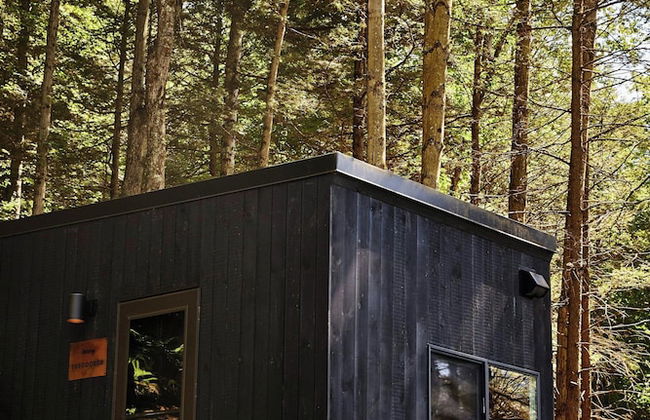 Postcard Cabins Talladega Valley, Outdoor Collection by Marriott Bonvoy - Foto 38