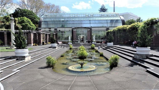 Auckland Full Day Tour - Photo 2, Visiting Auckland