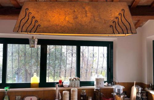 At Aunt Daniela house Oasis on Silence - Photo 19