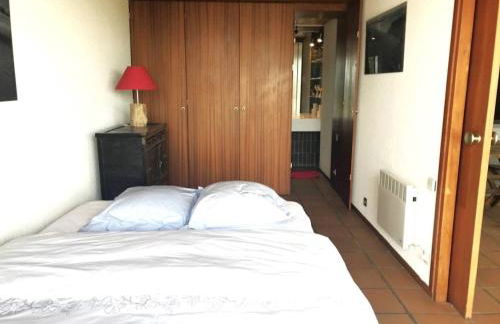 Grande villa avec jacuzzi à La Pointe aux Chevaux - FR-1-736-23 - Photo 26