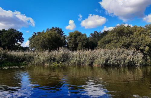 Hausboot-schwimmendes-Ferienhaus-im-Havelbogen-Haus-auf-dem-Wasser - Foto 14