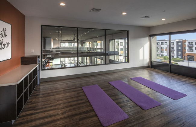 Luxury Condos Menlo Park - Photo 28