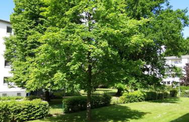 Ferienwohnung Breitschuhs Havenwelten Bremerhaven - Foto 8