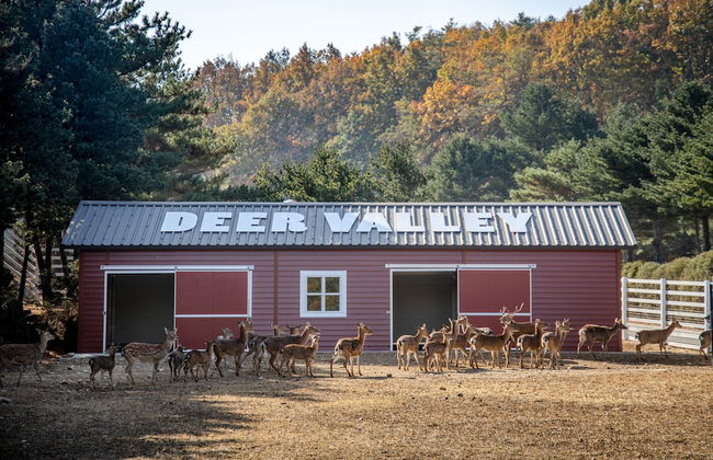 Kensington Resort Seorak Valley - Foto 56