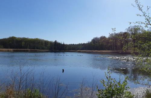 Ferienhaus Waldblick - Foto 8