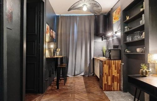 Nancy Vieille ville Stanislas - Foto 75