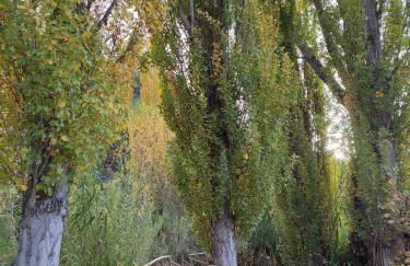 El Cantón - Alojamiento Rural - Foto 57