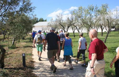 Farm Retreat in Sunny Calabria - Foto 18