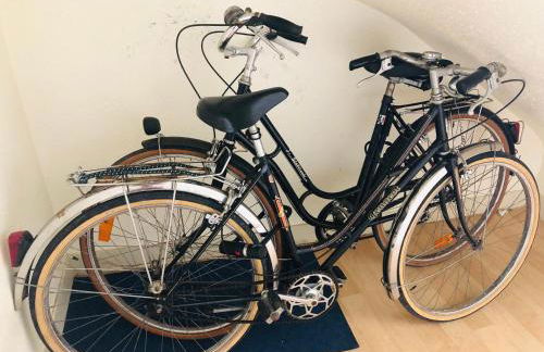 Le jardinet de la cathédrale - Foto 22