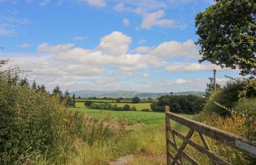 The Walton - Foto 31