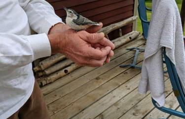 Hideaway from the Twin Cities - Foto 11