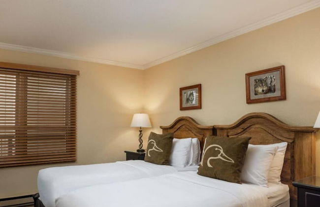 Montaneros in Vail - Foto 47