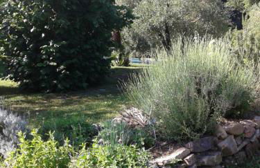 Podere Stollo - Foto 62