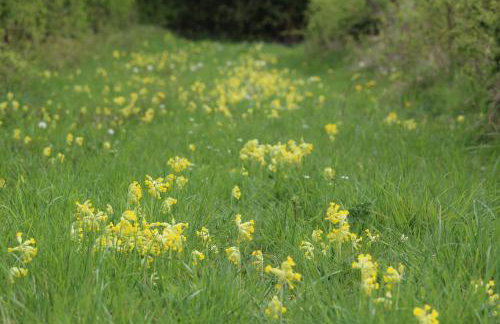 Entire flat 2 to 4 pers 1 bed 1 bath disabled access for limited disability - Foto 36