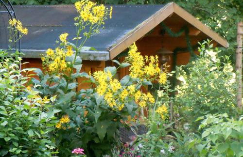 Ferieninsel an der Dreisam - Foto 32