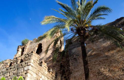 Edificio Ramiro - Photo 48