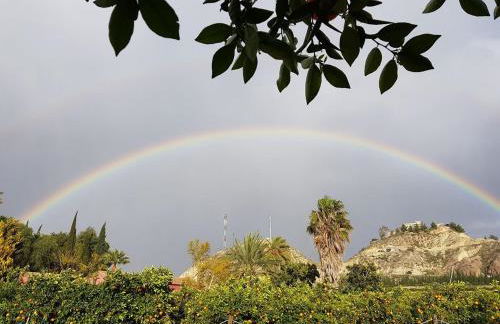 La Joya del Valle de Ricote - Foto 38