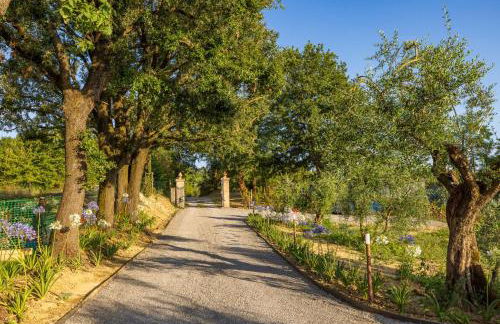 Podere Grotta Antica - Foto 18