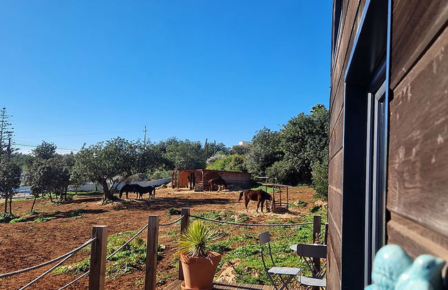 Tiny House Loulé Algarve no1 - Foto 5