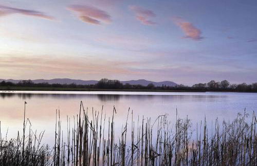 Herons Nest - Foto 25