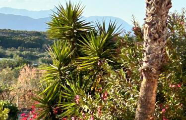 Gran Alacant Relax Casa - Photo 46