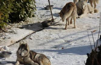 les pieds dans l'eau - Foto 29