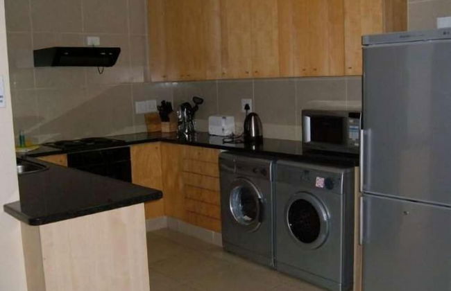 Lazy Lizard - Foto 16