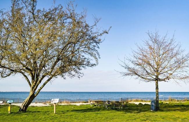 Apartments Bandholm - Foto 6