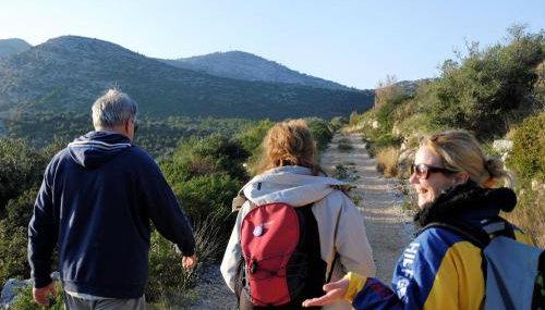 Apartments Silvana - Foto 5